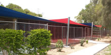 Northshore Pet Resort