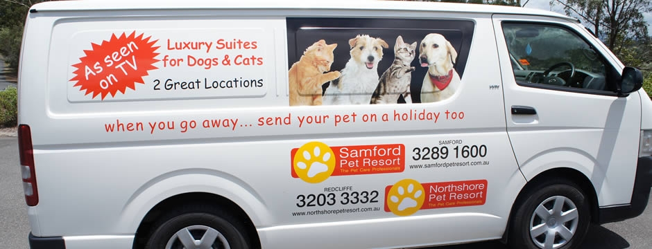 NPR pet transport van